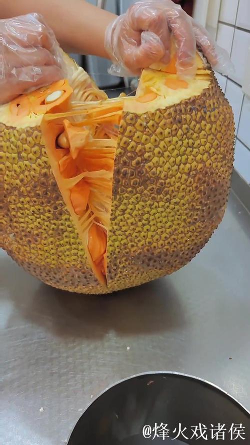 体验菠萝蜜视频的精彩世界：独家视频在线观看